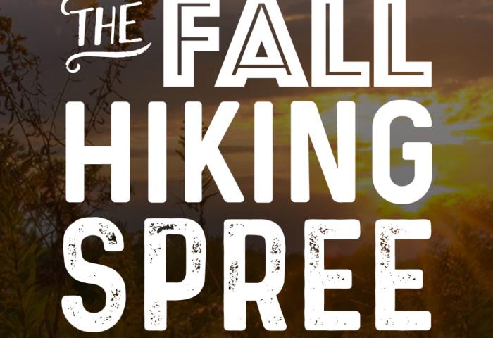 Summit MetroParks 2025 Fall HIking Spree
